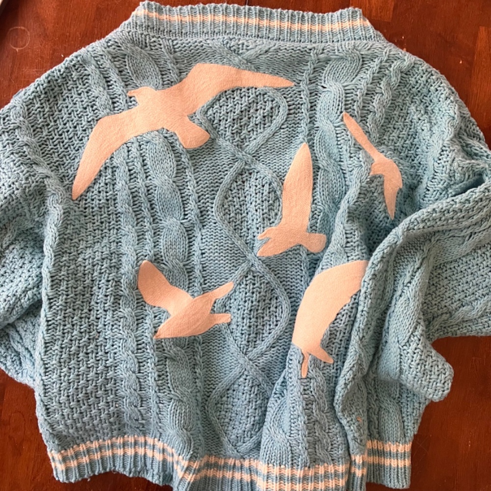 Taylor's Version 1989 cardigan